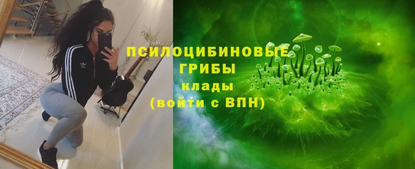 2c-b Абинск