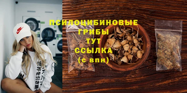 2c-b Абинск