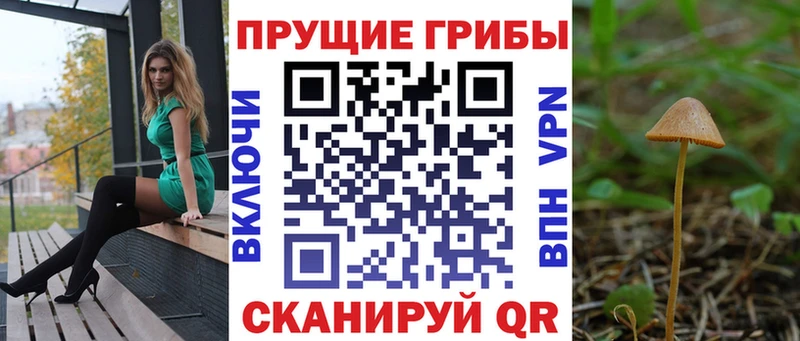 площадка официальный сайт  Хадыженск  Галлюциногенные грибы Magic Shrooms 